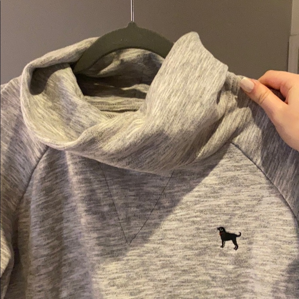 Grey The Black Dog Sweatshirt